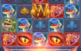 피지 드래곤 해치