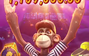 피지 와일드 원숭이