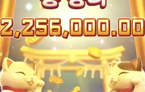 고양이는 크게 안주네