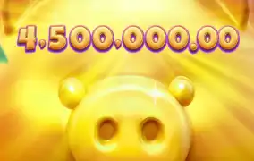 피지 행운 돼지