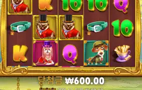 도그하유스 리본