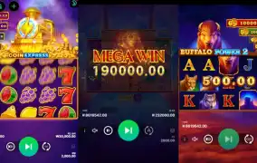 코인 익스프레스랑 버팔로 조합 굿