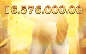 피지 와일드 바운티 쇼다운