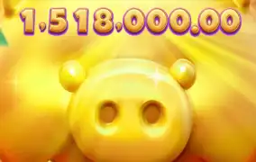 피지 러키 피기 2탄