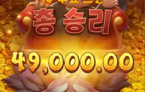 피지 돼지삼형제