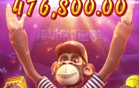 피지 원숭이시키