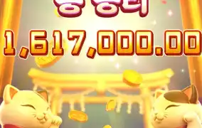 피지 행운의 내코