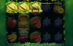 PG SOFT / JungleDelight