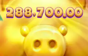 피지 행운 돼지