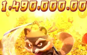 피지 닌자 너구리