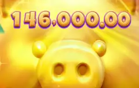 피지 행운 돼지