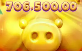 피지 럭키 피기