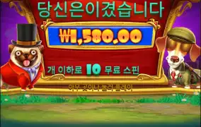 새벽반 스타트 개집로얄