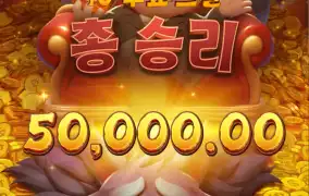 피지 돼지삼형제