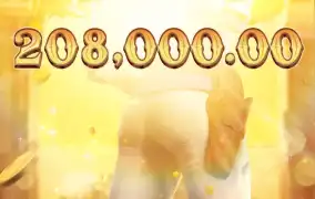 피지 와일드바운티