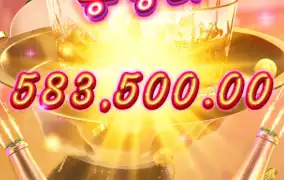 피지 칵테일 나이트