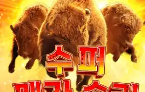 PG SOFT 버팔로 윈