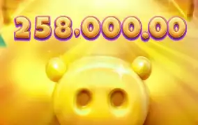 피지 행운 돼지