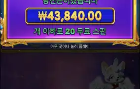 이건 넘 안주네