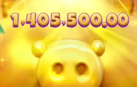 피지 행운 돼지