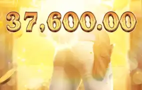 피지 와일드바운티