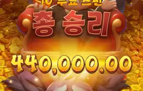 피지 미친돼지 삼형제