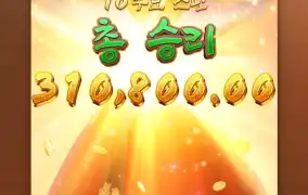 31콩 소소하게 챙깁니다