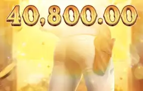 피지 와일드 바운티 쇼다운