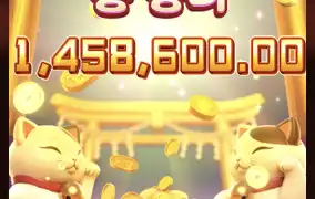 피지 행운의네코