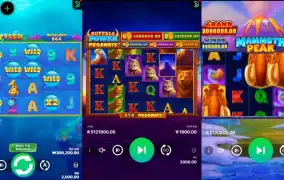 동물농장 개장ㅋㅋ