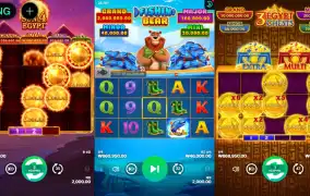 부운고 멀티슬롯 기모띠하네 !