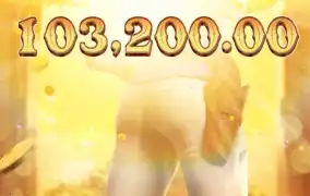 피지 쇼다운 바운티