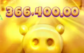 피지 행운 돼지