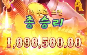 피지 와일드 밴디토