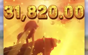 피지 사파리한번더