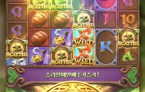 피지 클로버마니마니