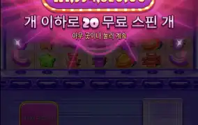 슈가러시 슈처스캐처