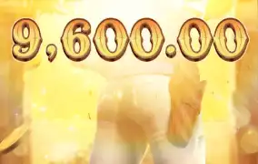 피지 와일드바운티