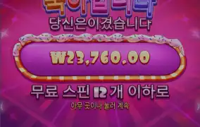 슈러다 구매입니다.