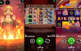 BNG 부운고 멀티슬롯