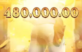 피지 와일드바운티