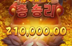 피지 돼지삼형제