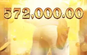 피지 와일드바운티