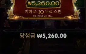 캐롤메가 무한구매