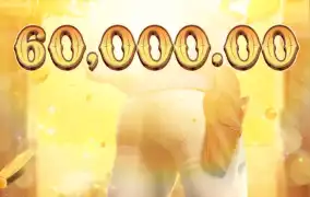 피지 와일드바운티