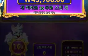 공주 무료한번더