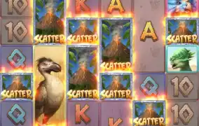 피지 쥬라기 뭔가엄청마니줬는데ㅠ