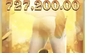 와일드바운티 쇼다운