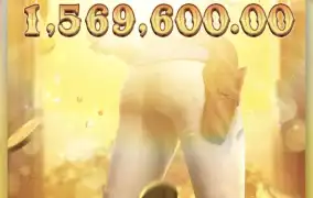 와일드바운티쇼다운