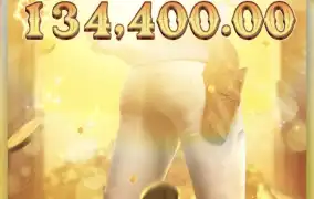 피지 와일드 바운티쇼다운